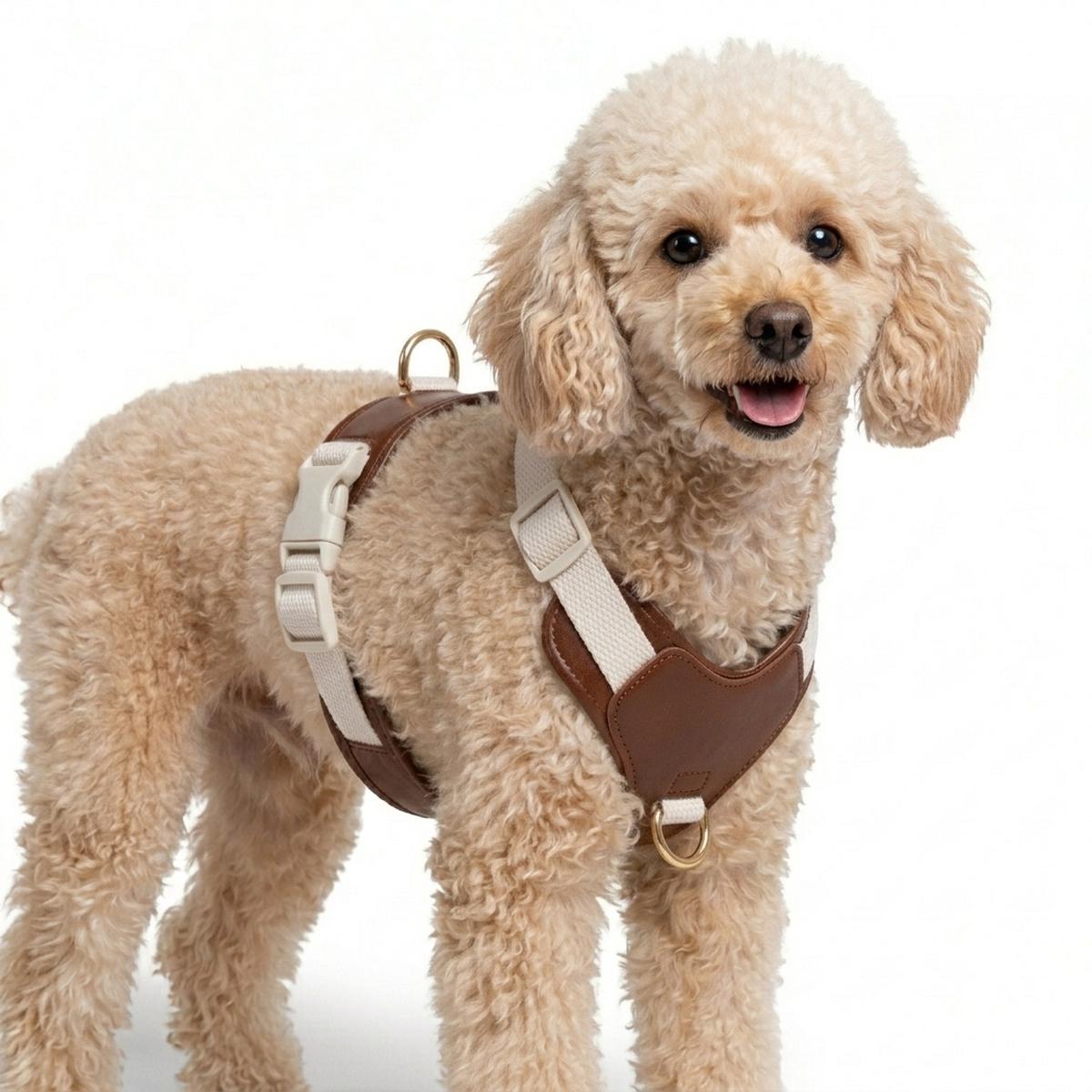 11.11 Mega Sale: Handcrafted Leather Canvas Dog Collar, Harness and Leash - Beige - M | S | Collar + Harness