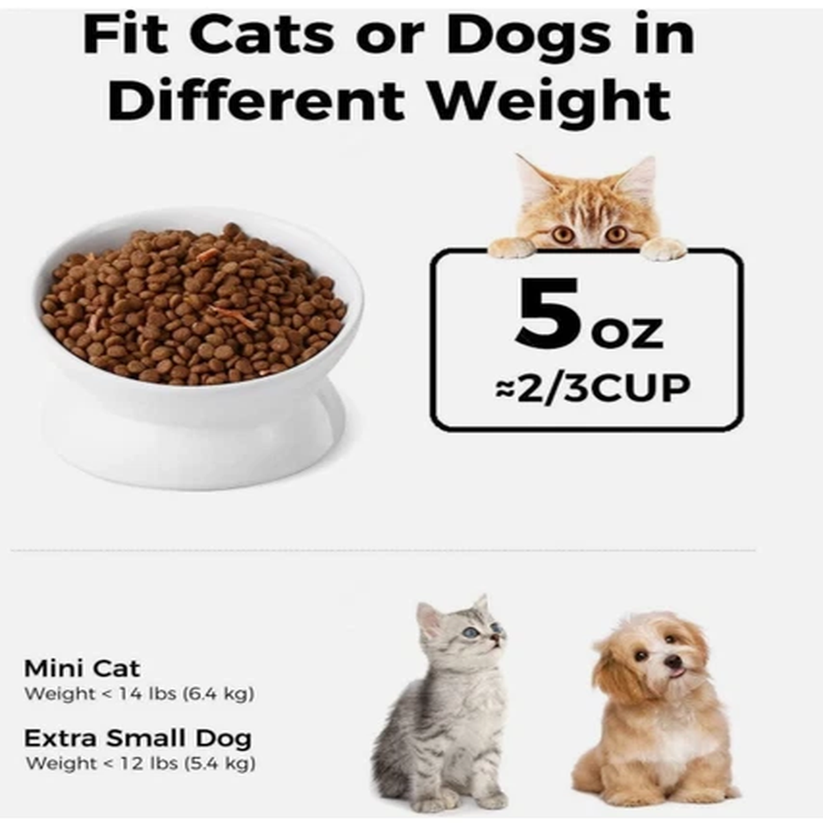 "5oz Elevated Pet Food Bowl Ceramic Raised & Tilted Water Bowl for Small Dog Cat