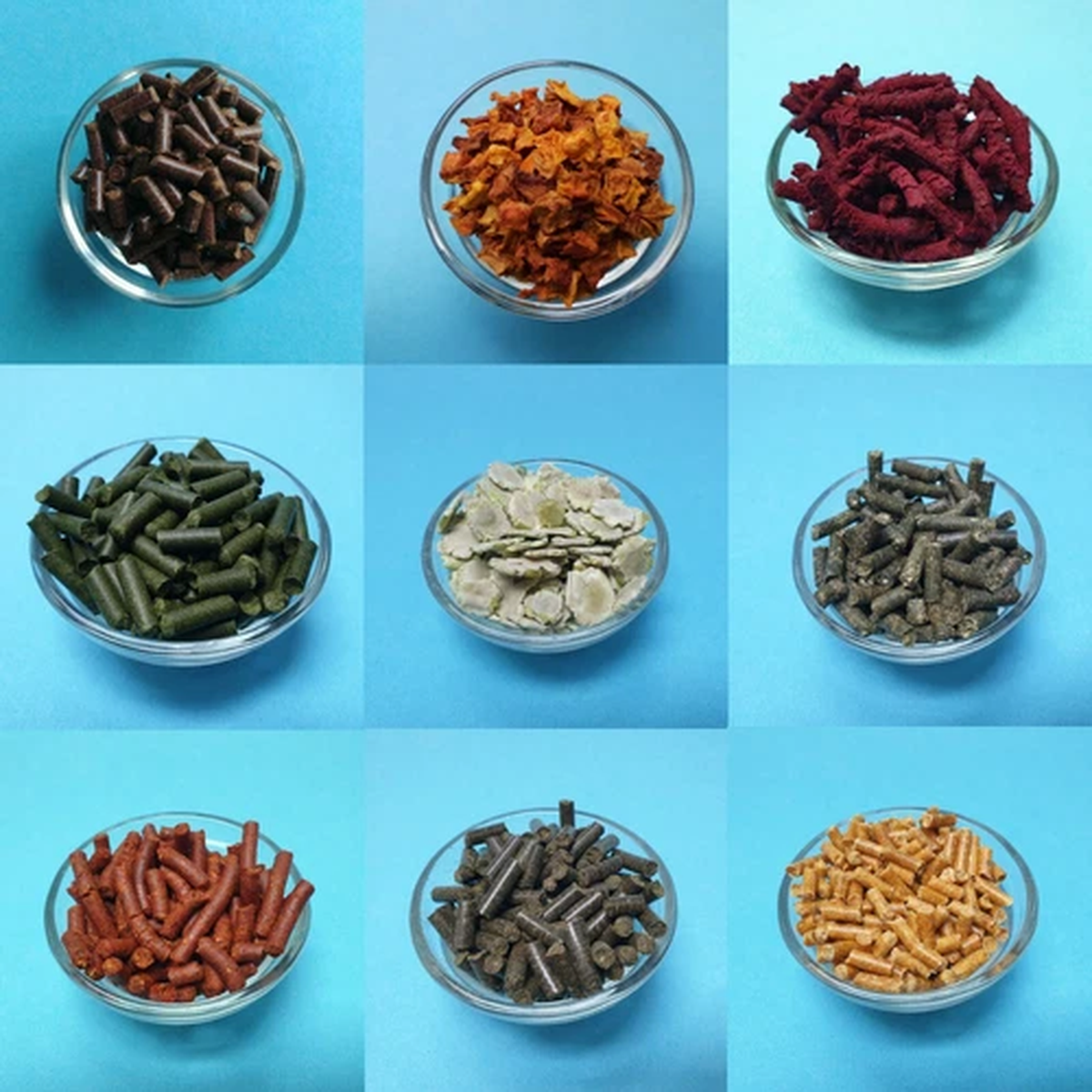 (10/100g) Food Sticks for Shrimp / 10g Sample / [14 Varieties!] / Paprika